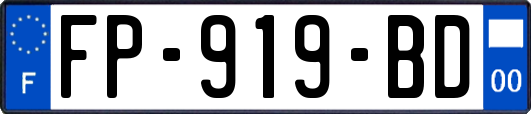 FP-919-BD