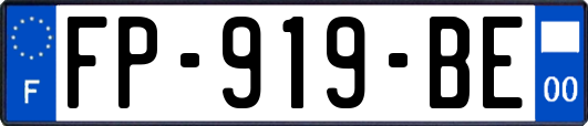 FP-919-BE