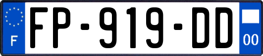 FP-919-DD