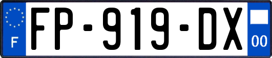 FP-919-DX