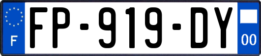 FP-919-DY