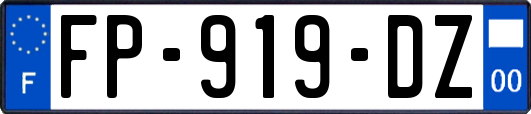 FP-919-DZ