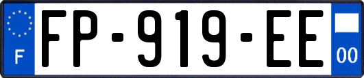 FP-919-EE