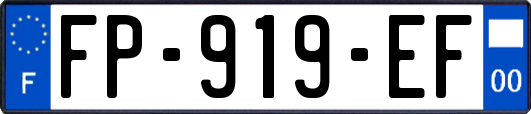 FP-919-EF