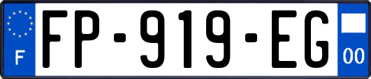 FP-919-EG