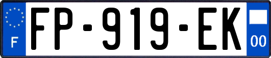 FP-919-EK