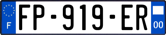 FP-919-ER