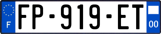 FP-919-ET