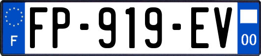 FP-919-EV