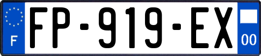 FP-919-EX