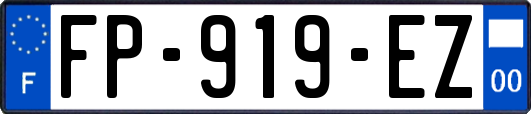 FP-919-EZ