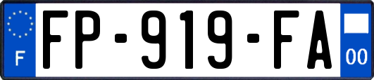 FP-919-FA