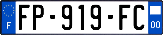FP-919-FC