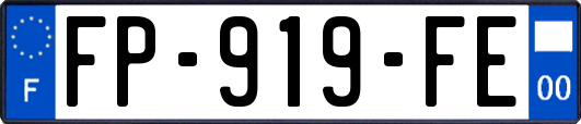 FP-919-FE