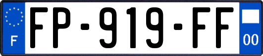 FP-919-FF