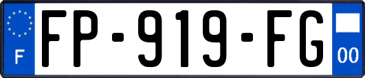 FP-919-FG