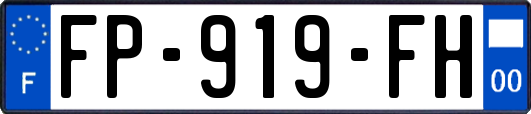 FP-919-FH