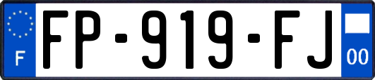 FP-919-FJ