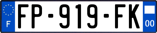 FP-919-FK