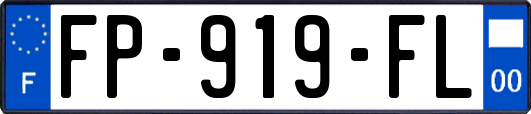 FP-919-FL