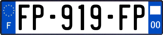 FP-919-FP