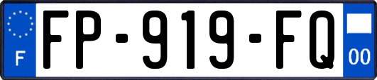FP-919-FQ