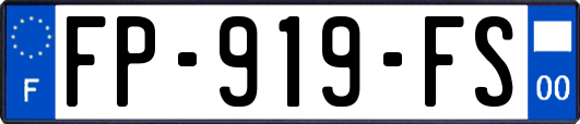 FP-919-FS