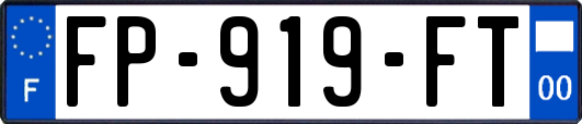 FP-919-FT