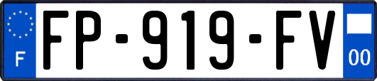 FP-919-FV