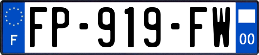 FP-919-FW