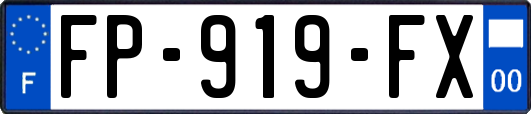 FP-919-FX