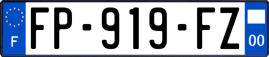 FP-919-FZ