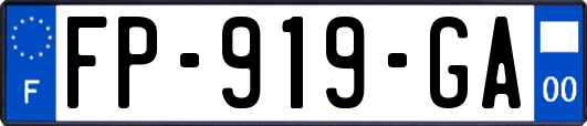 FP-919-GA