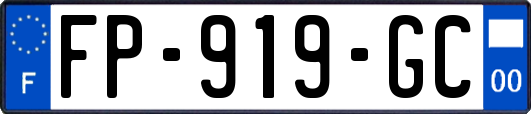 FP-919-GC