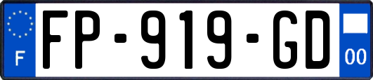 FP-919-GD