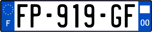 FP-919-GF