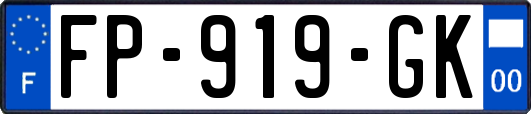 FP-919-GK