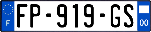 FP-919-GS