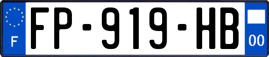 FP-919-HB