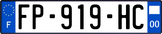 FP-919-HC