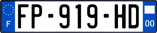 FP-919-HD