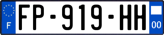 FP-919-HH