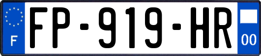 FP-919-HR