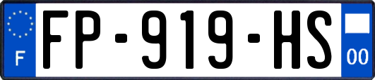 FP-919-HS
