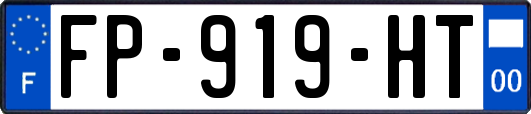 FP-919-HT