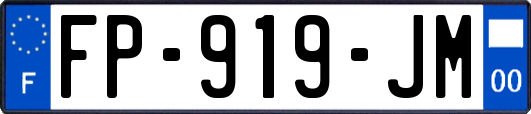 FP-919-JM