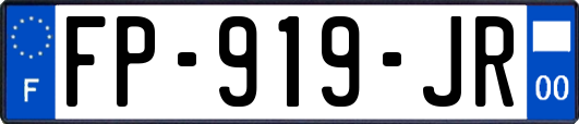 FP-919-JR