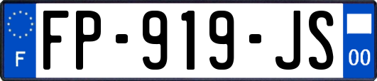 FP-919-JS