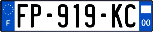 FP-919-KC