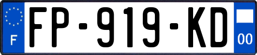 FP-919-KD